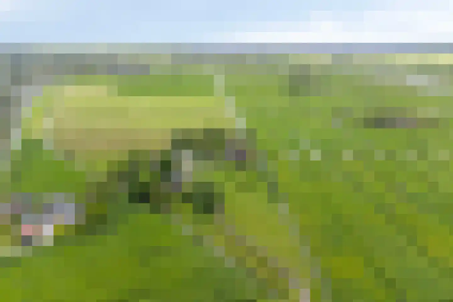 Veenkade 4 Maarssen thumbnail 4