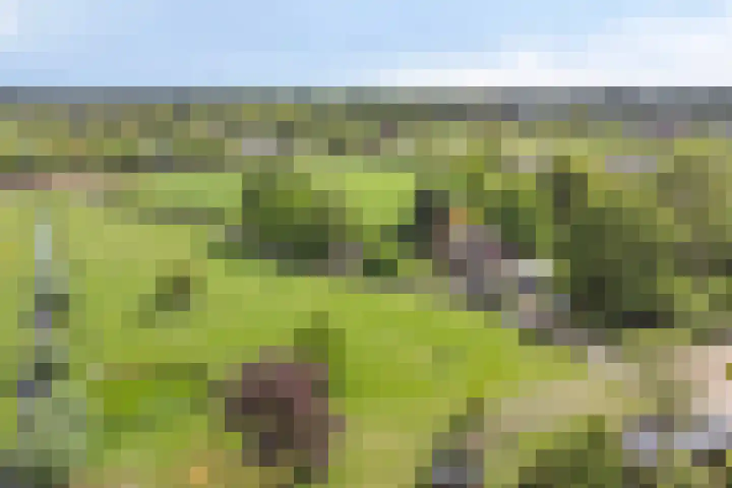 Veenkade 4 Maarssen thumbnail 5