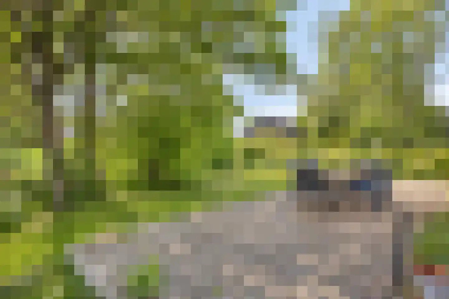Veenkade 4 Maarssen thumbnail 50
