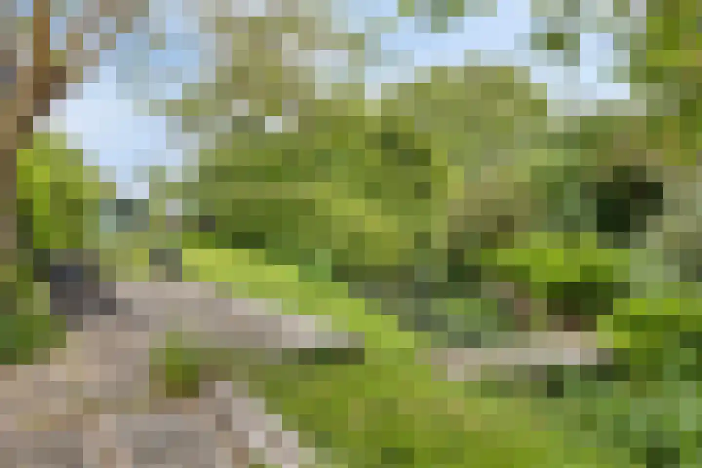 Veenkade 4 Maarssen thumbnail 53