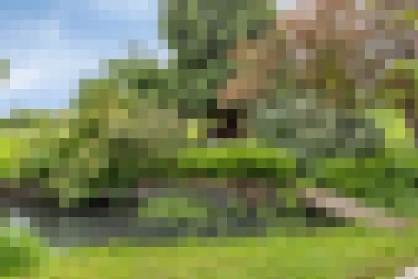 Veenkade 4 Maarssen thumbnail 56