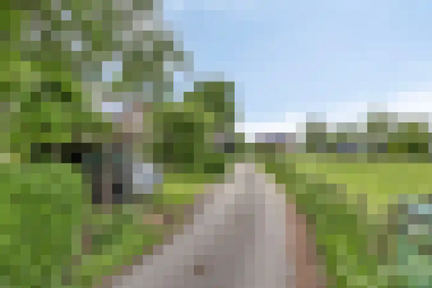 Veenkade 4 Maarssen thumbnail 6