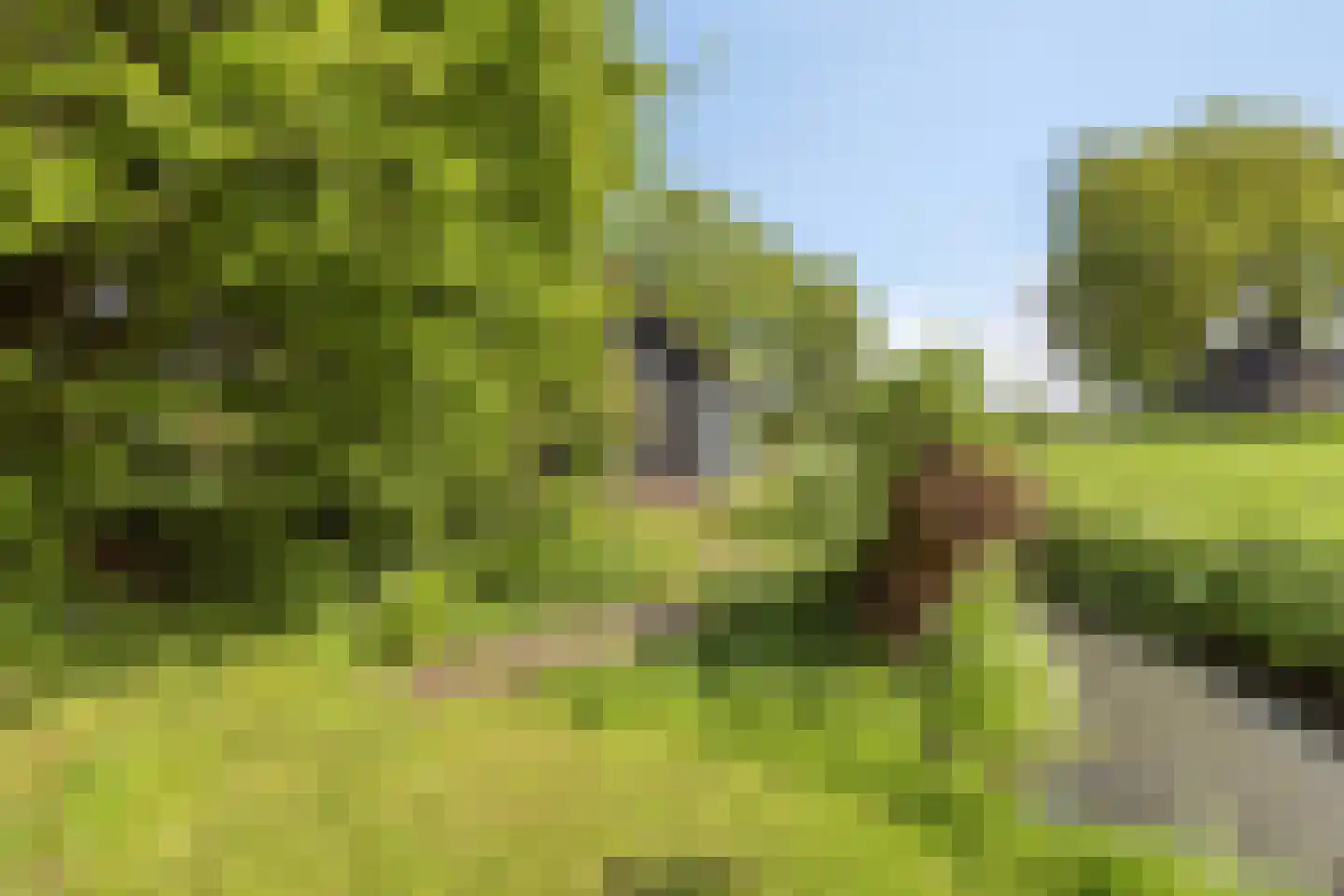 Veenkade 4 Maarssen thumbnail 63