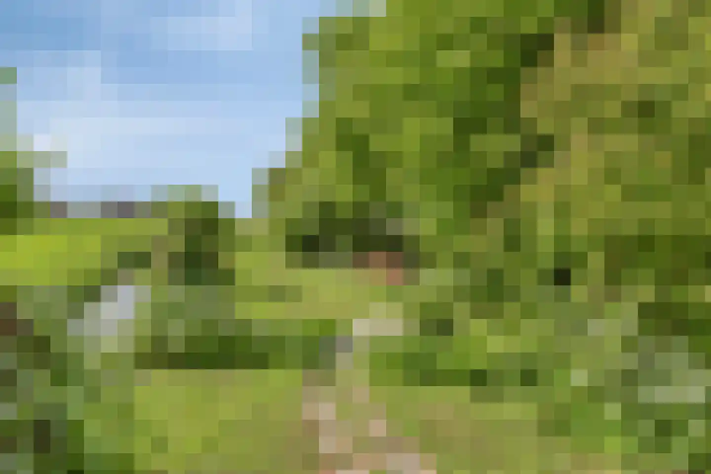 Veenkade 4 Maarssen thumbnail 64