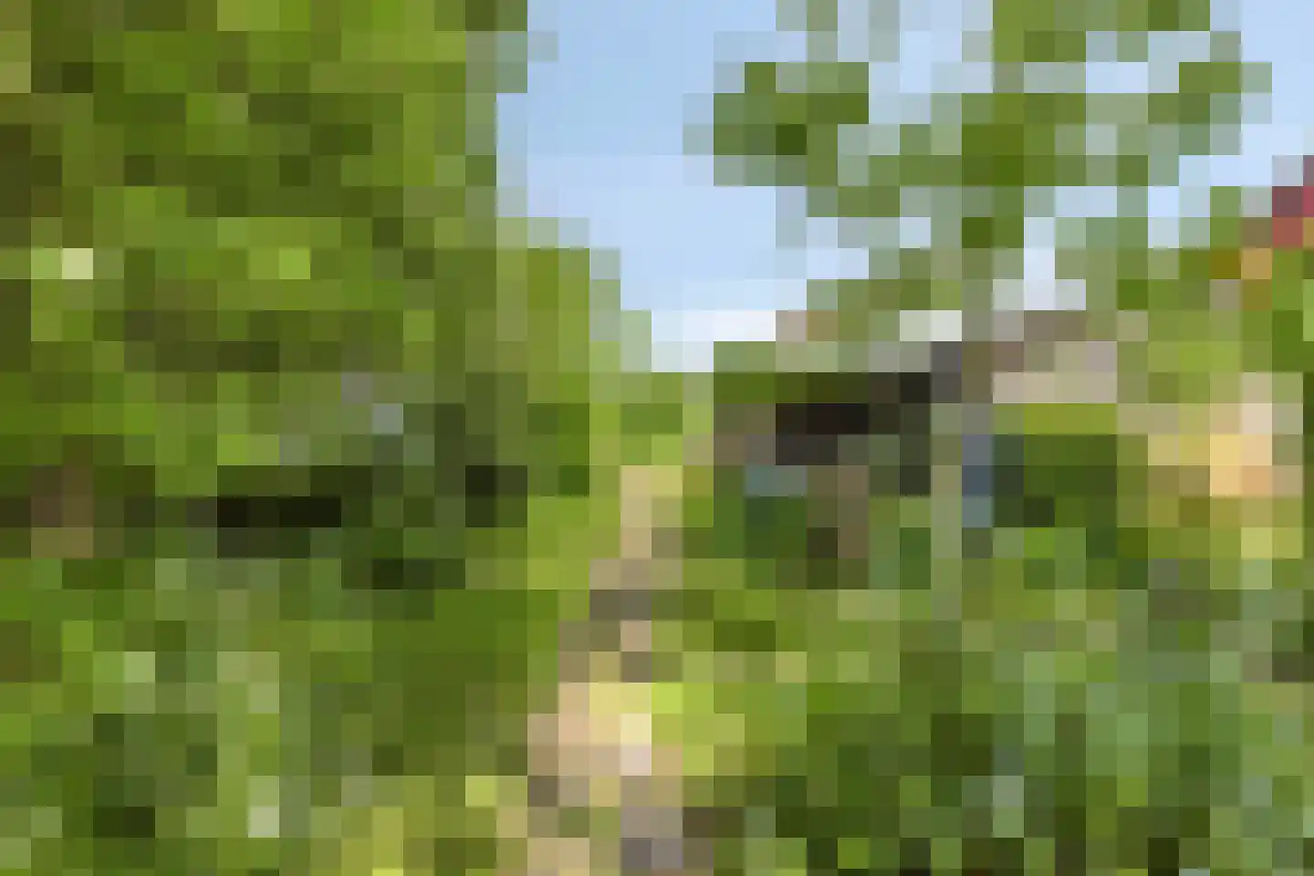 Veenkade 4 Maarssen thumbnail 65