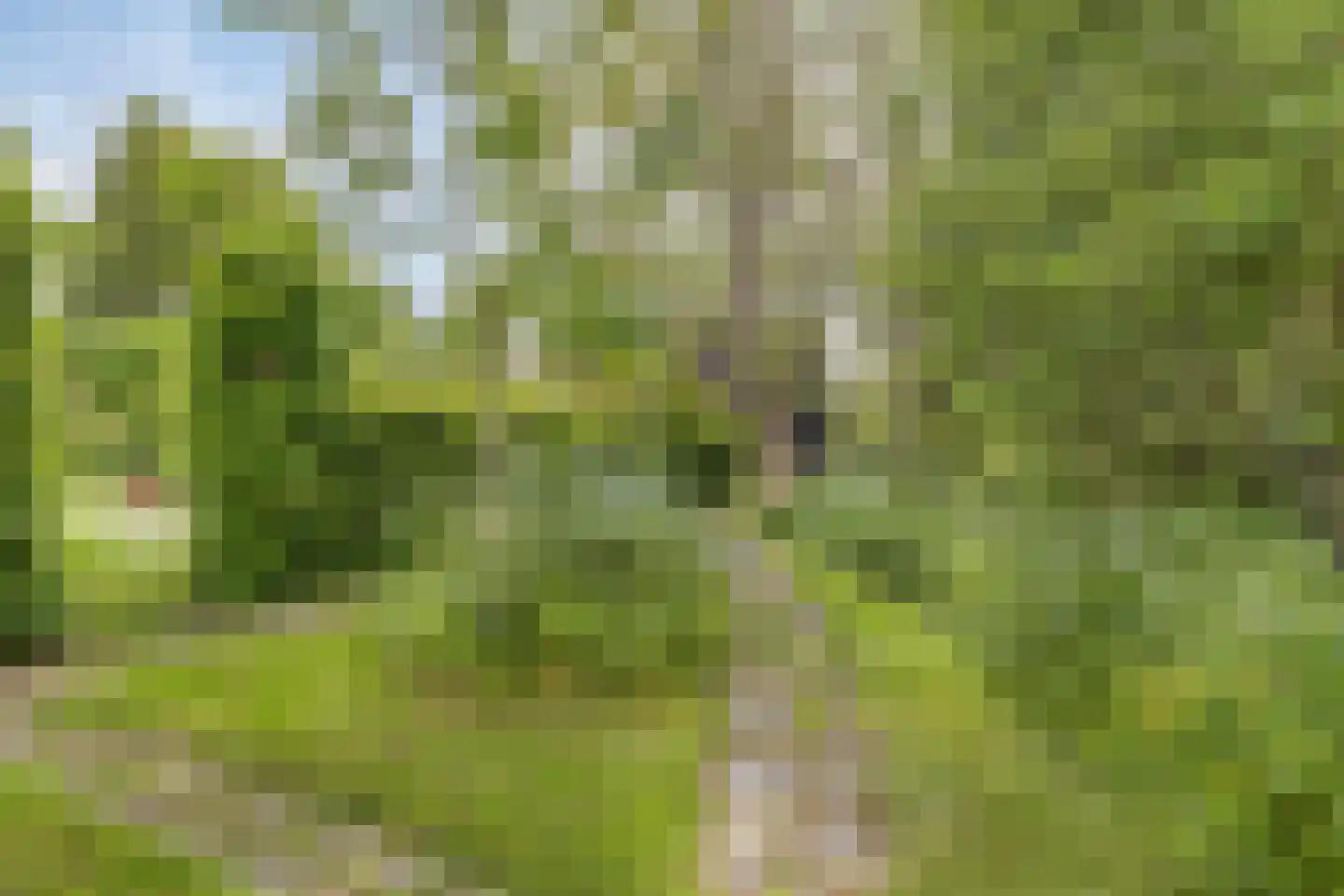 Veenkade 4 Maarssen thumbnail 66