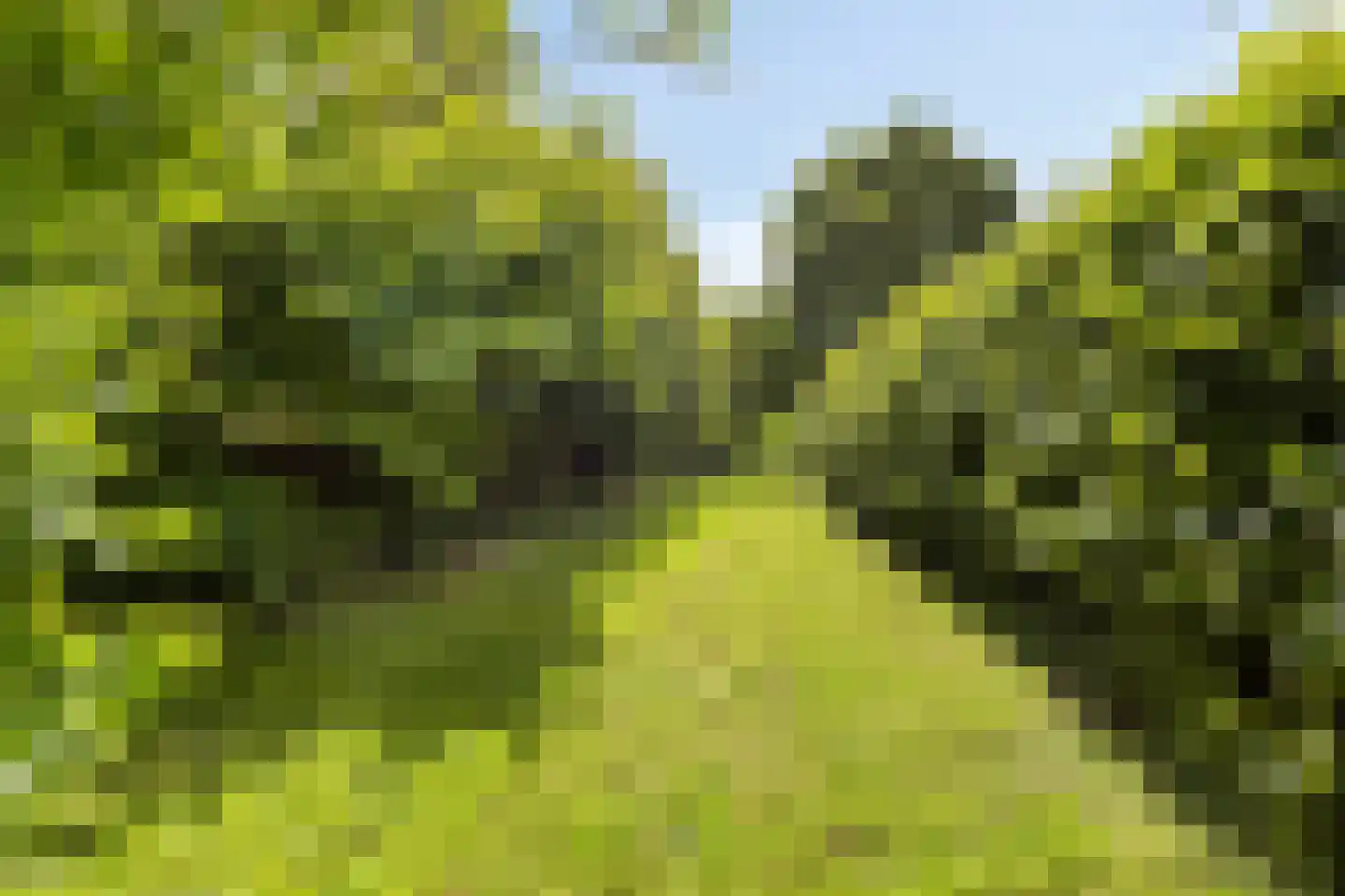 Veenkade 4 Maarssen thumbnail 67