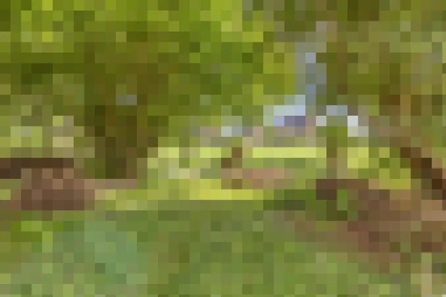 Veenkade 4 Maarssen thumbnail 69