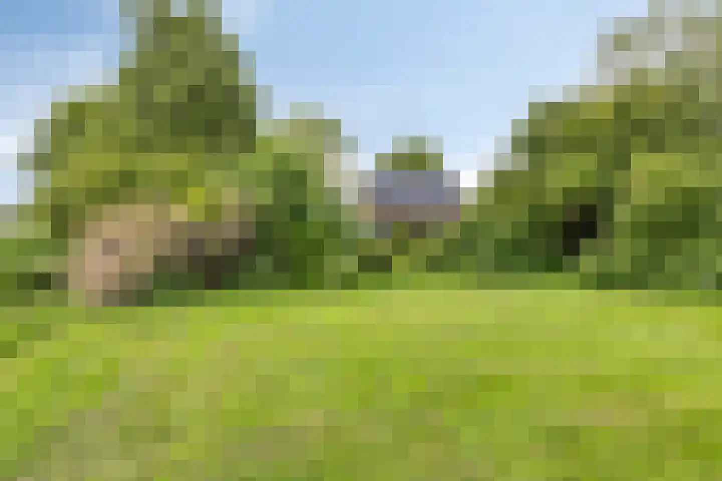 Veenkade 4 Maarssen thumbnail 74