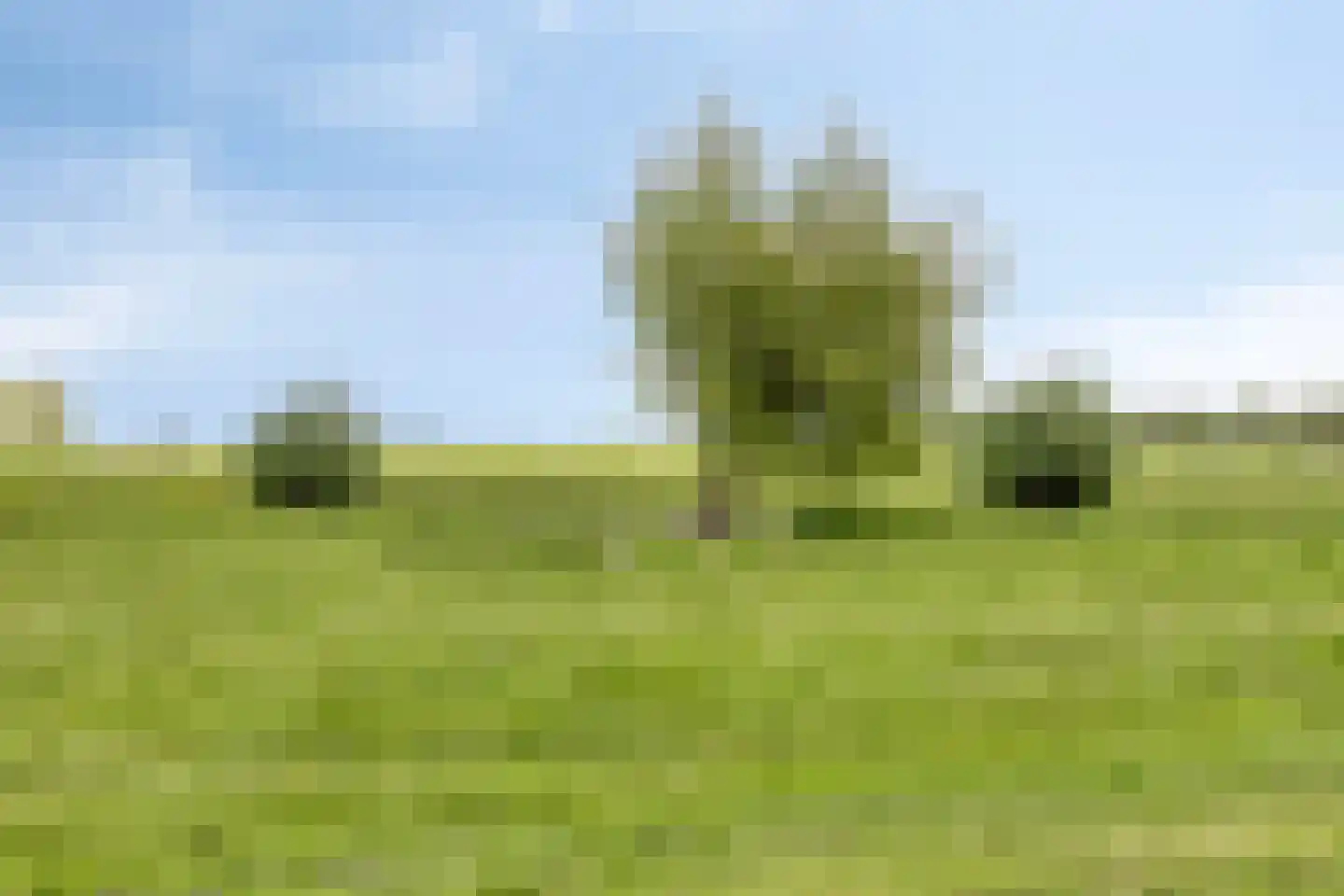 Veenkade 4 Maarssen thumbnail 76