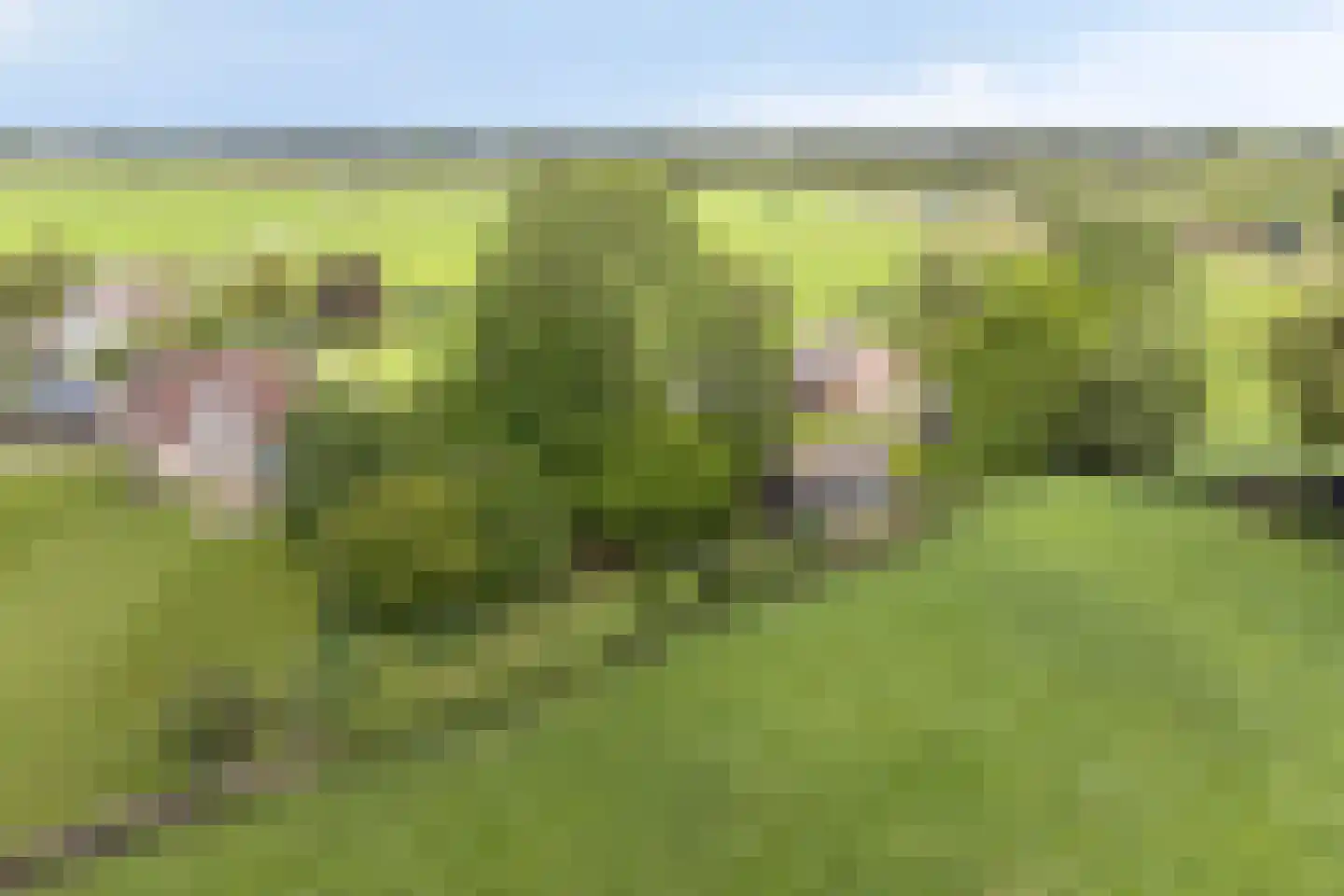 Veenkade 4 Maarssen thumbnail 78