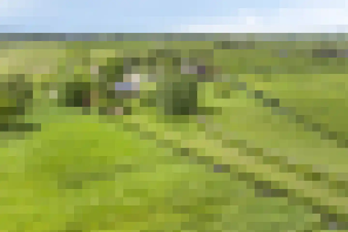 Veenkade 4 Maarssen thumbnail 79