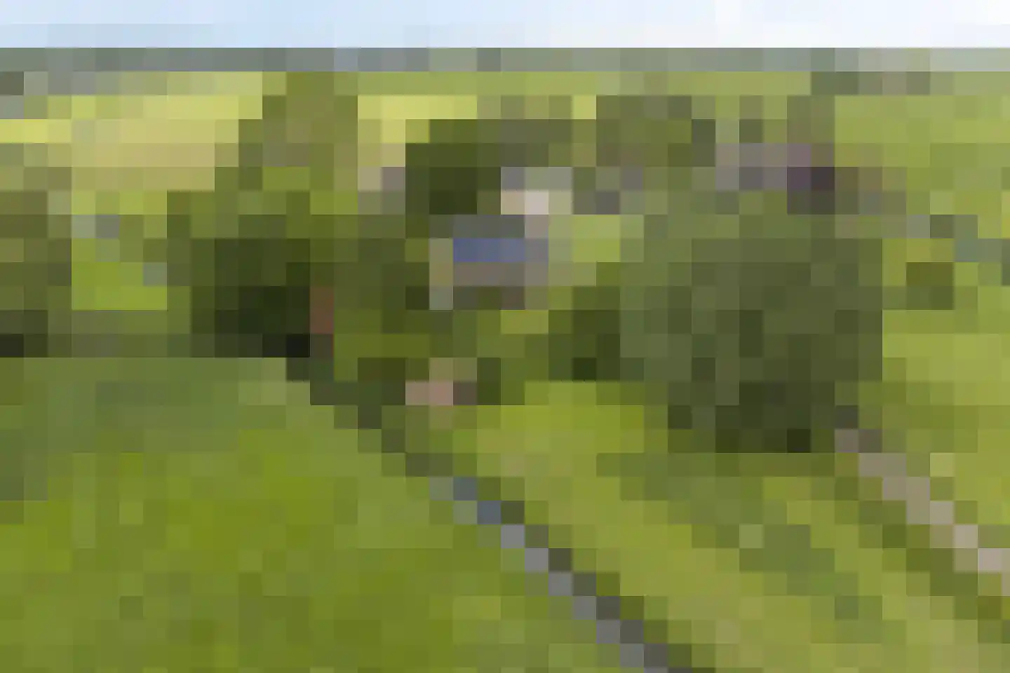 Veenkade 4 Maarssen thumbnail 80