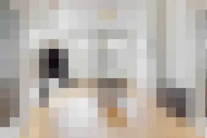 Veenkade 48 A Den Haag thumbnail 5