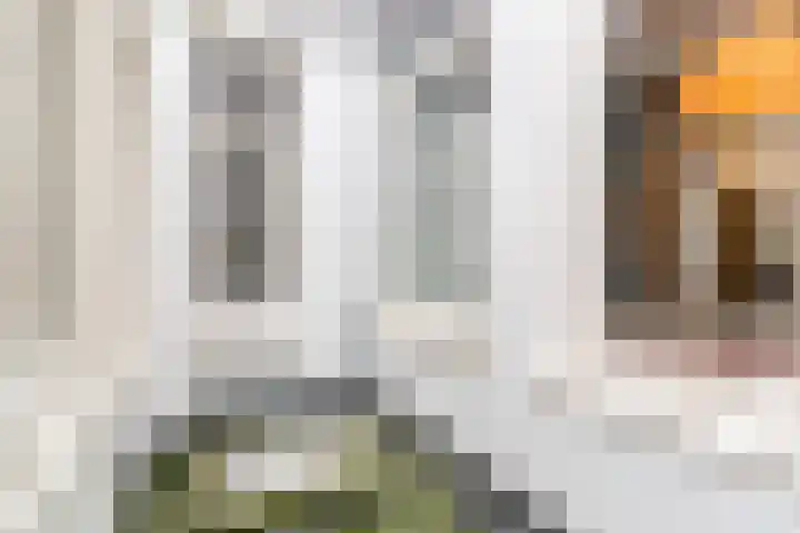 Veenkade 48 A Den Haag thumbnail 9