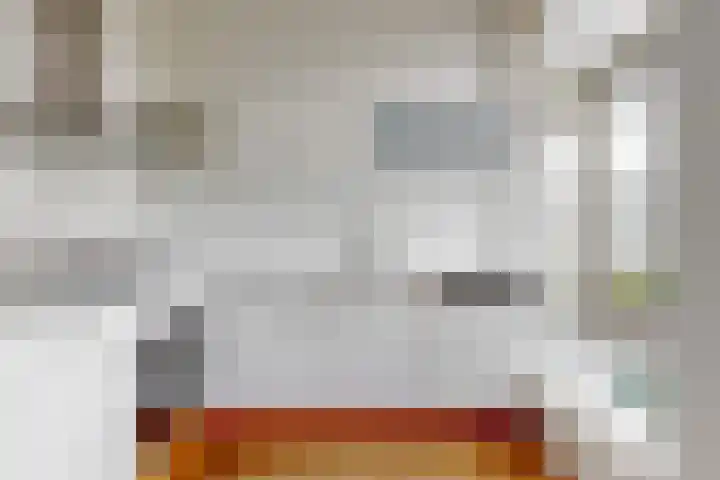 Veenkade 48 B Den Haag thumbnail 8