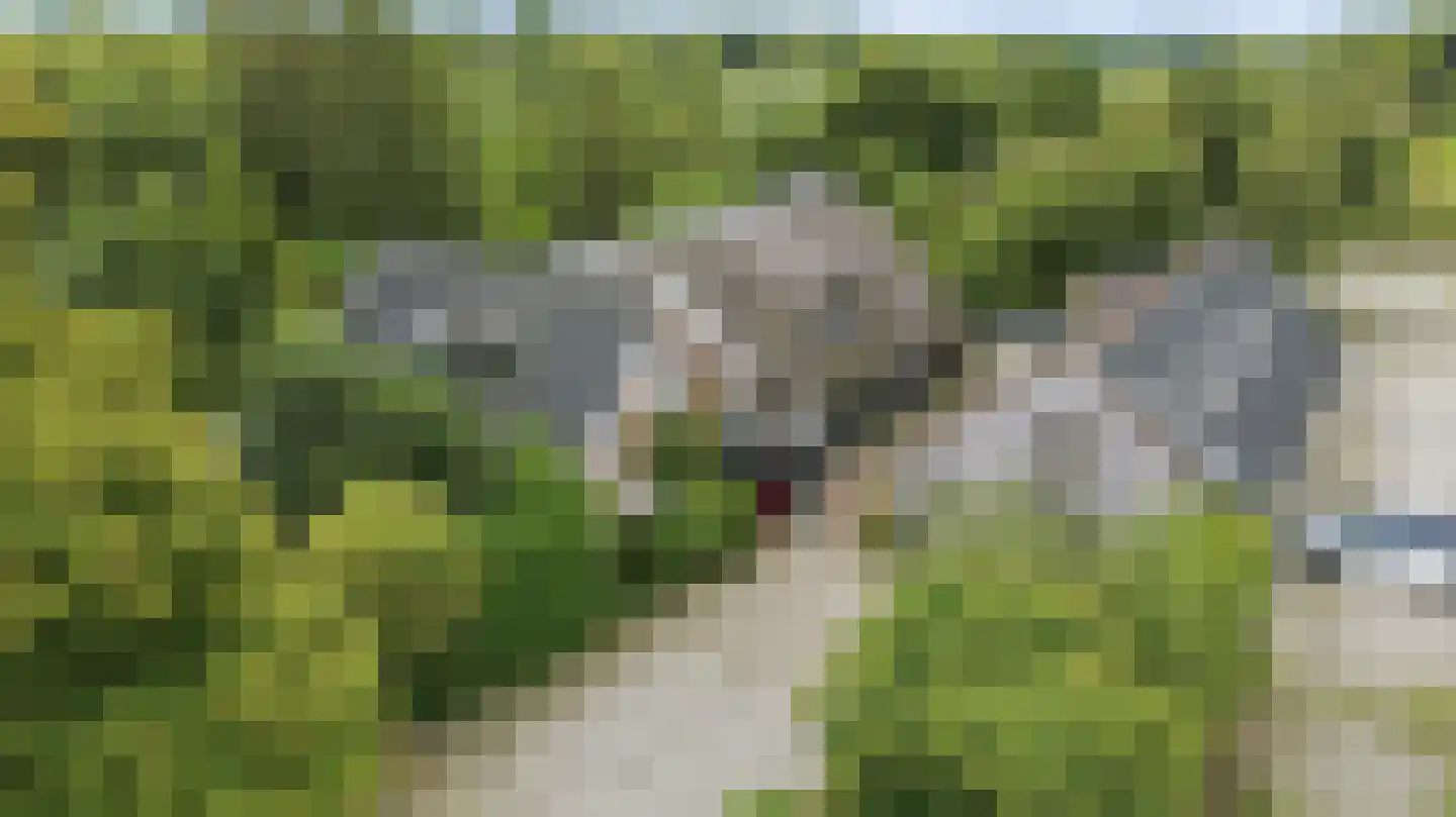 Veenkade 5 Maarssen thumbnail 100