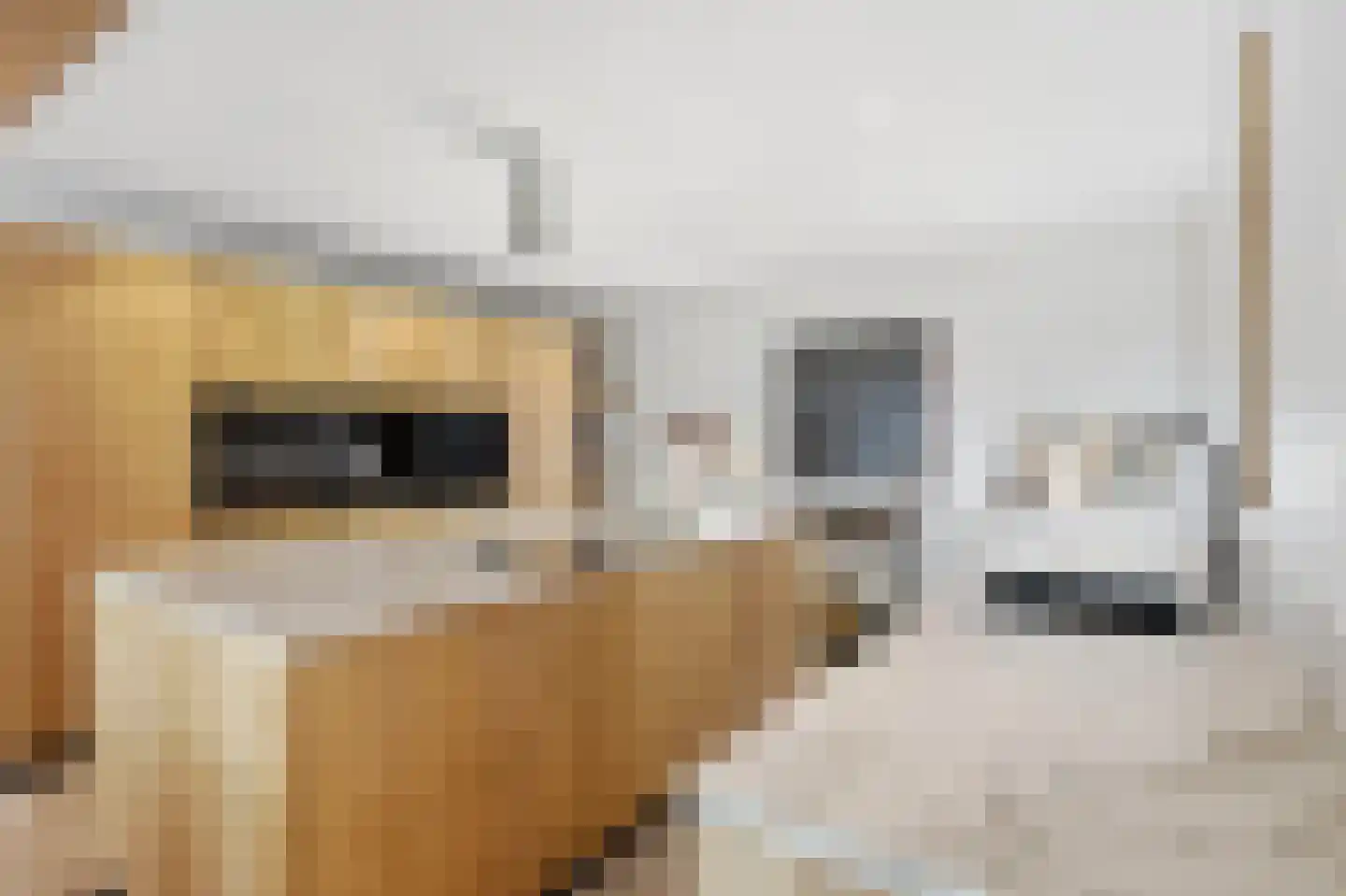 Veenkade 5 Maarssen thumbnail 21