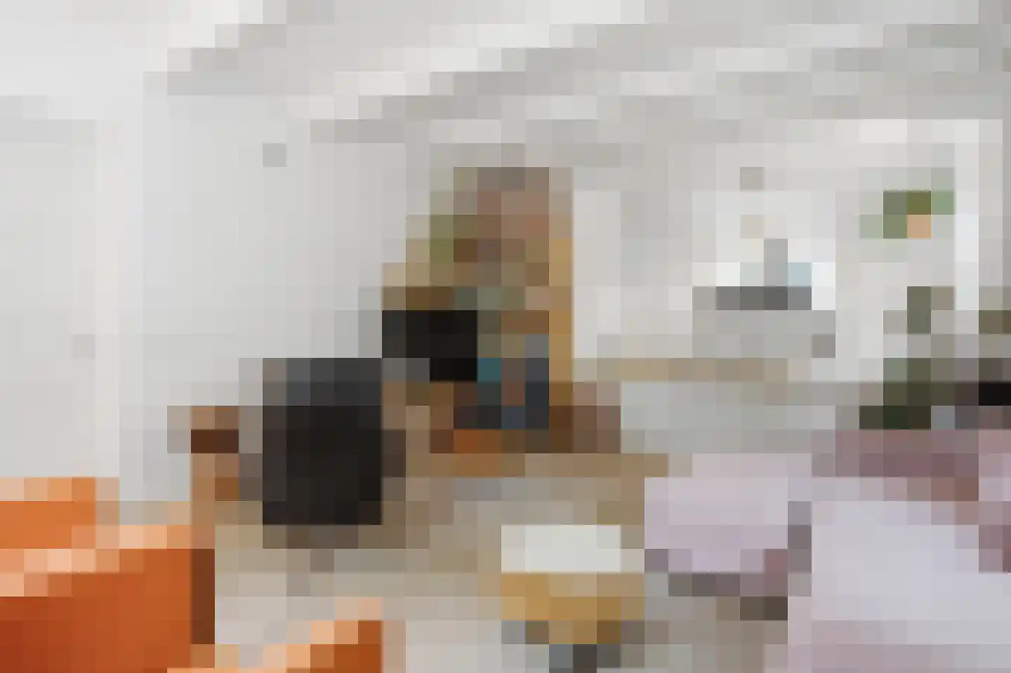 Veenkade 5 Maarssen thumbnail 34