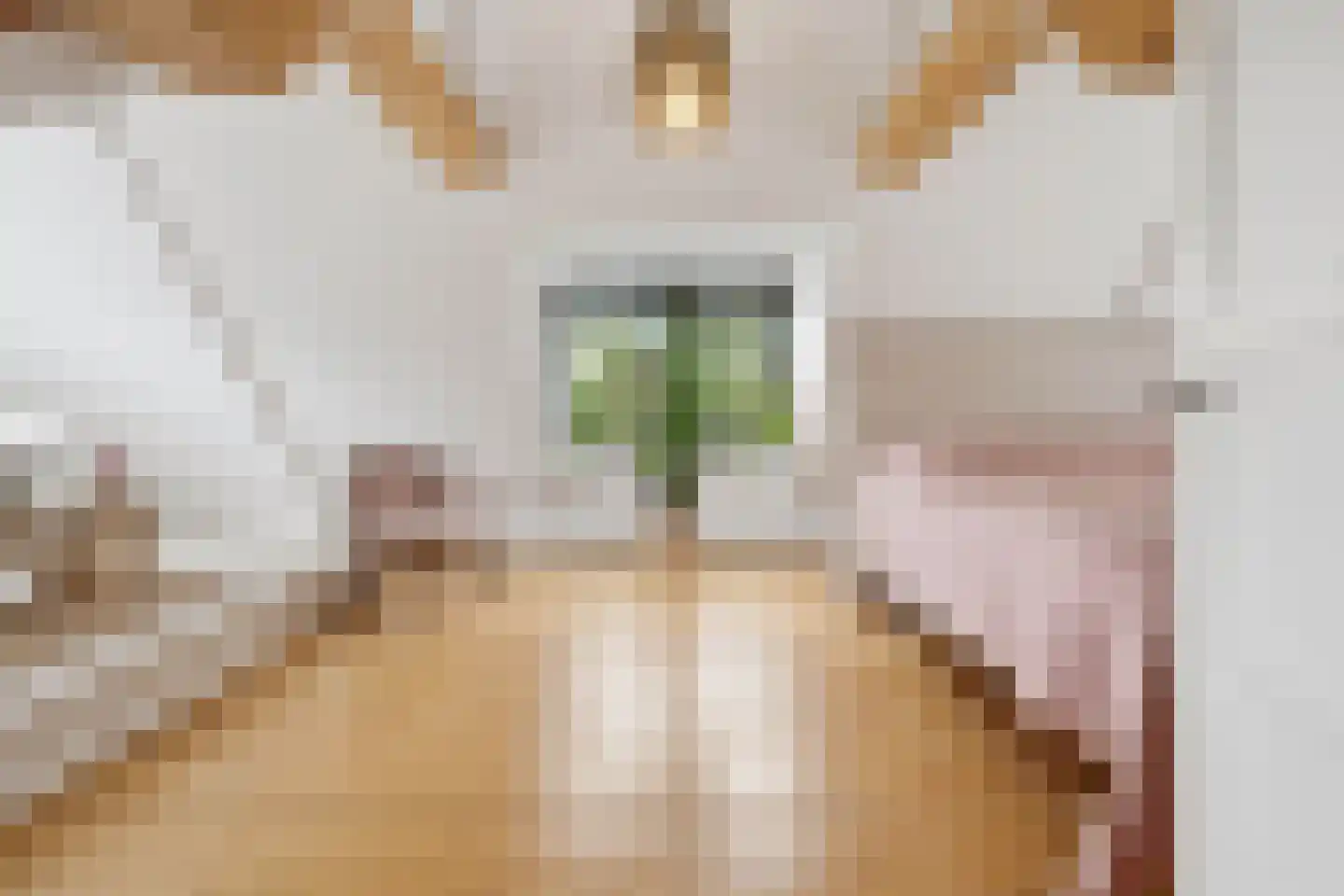 Veenkade 5 Maarssen thumbnail 39