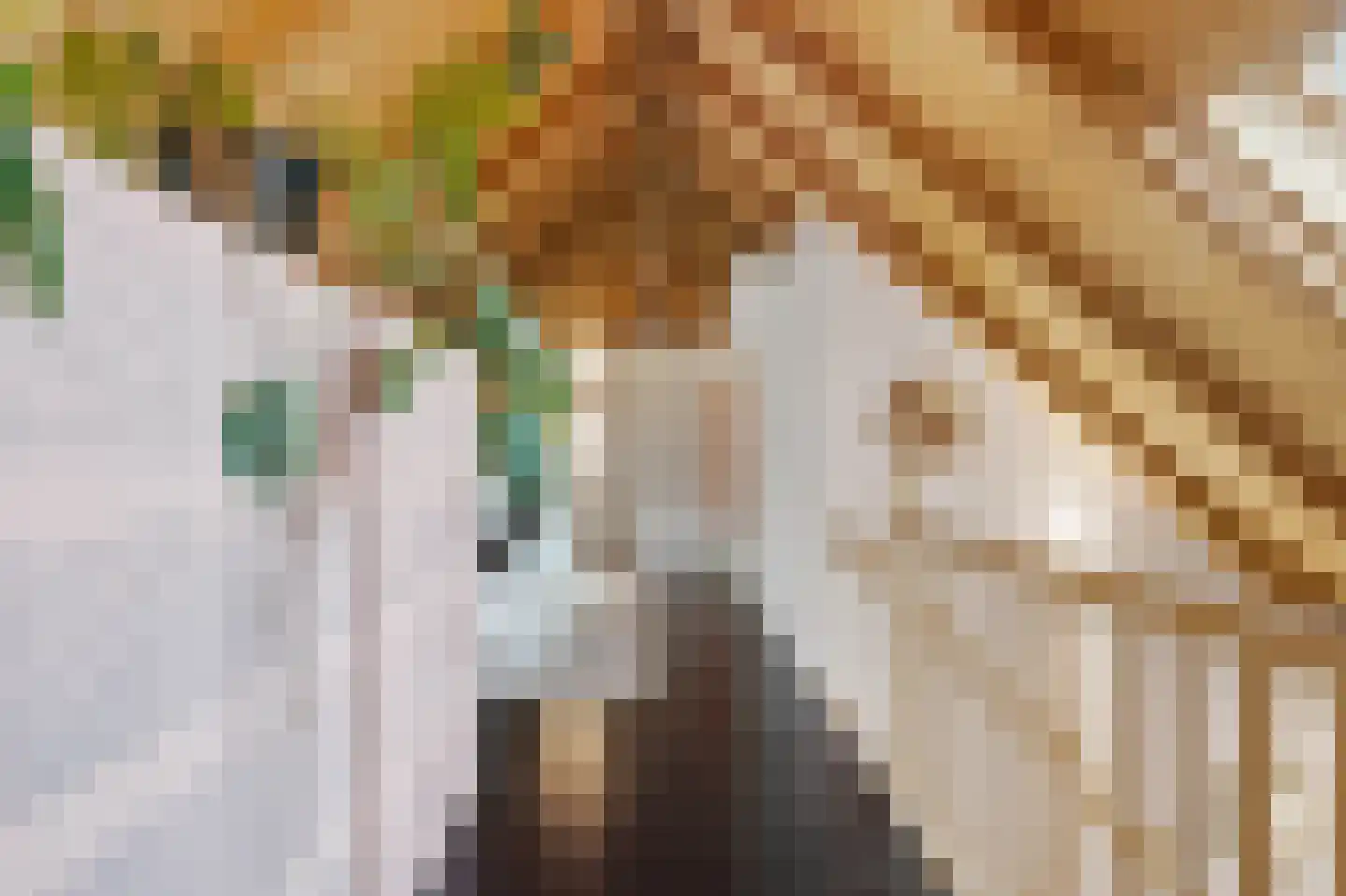 Veenkade 5 Maarssen thumbnail 45