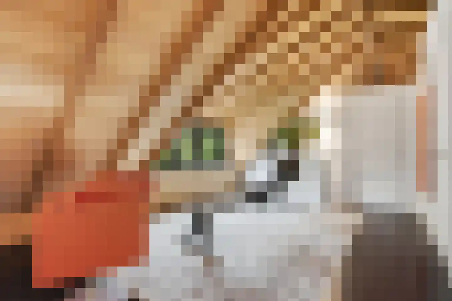 Veenkade 5 Maarssen thumbnail 47