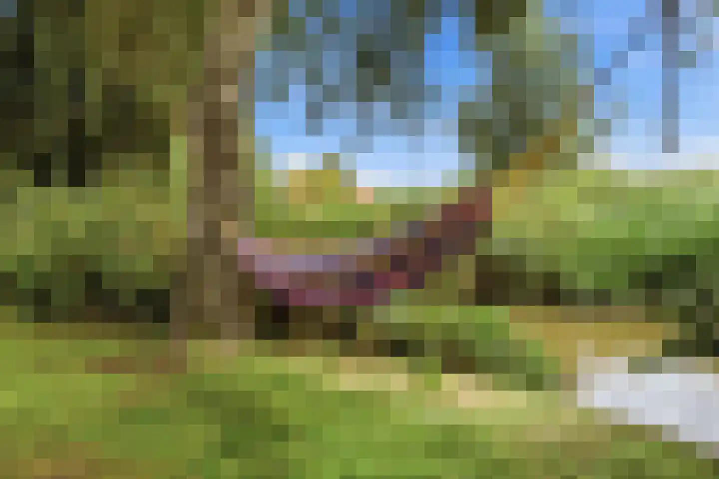 Veenkade 5 Maarssen thumbnail 63
