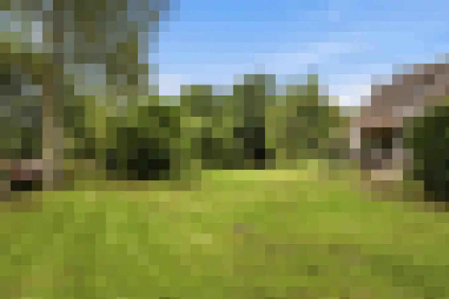 Veenkade 5 Maarssen thumbnail 64