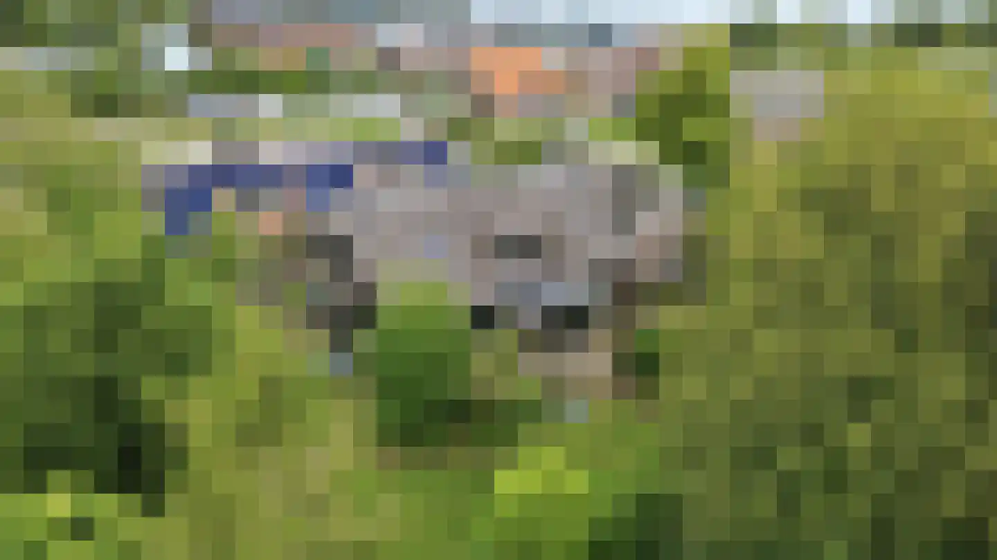 Veenkade 5 Maarssen thumbnail 7