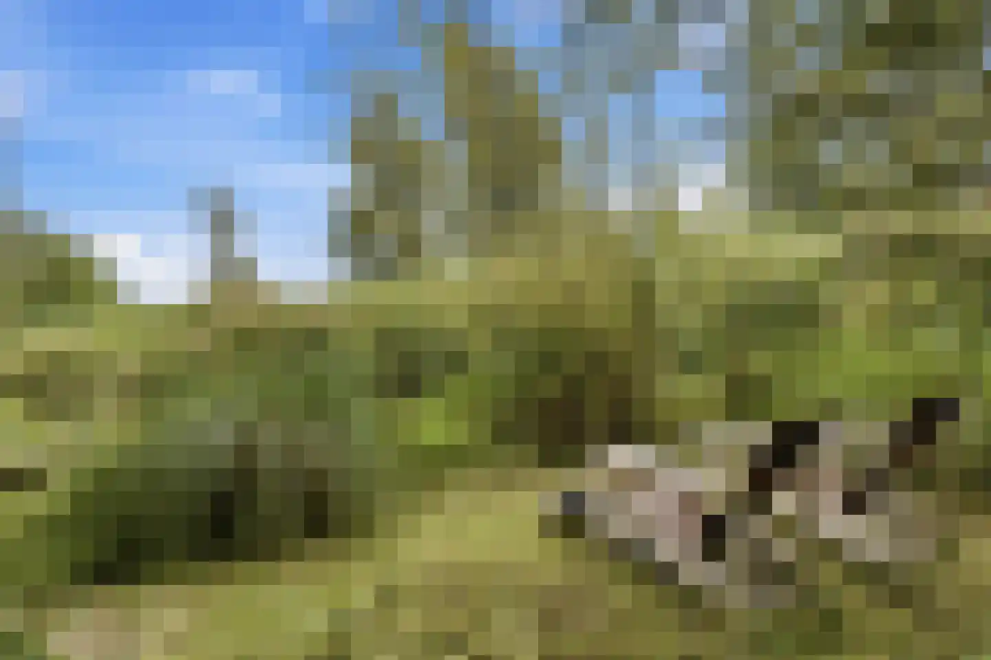 Veenkade 5 Maarssen thumbnail 71