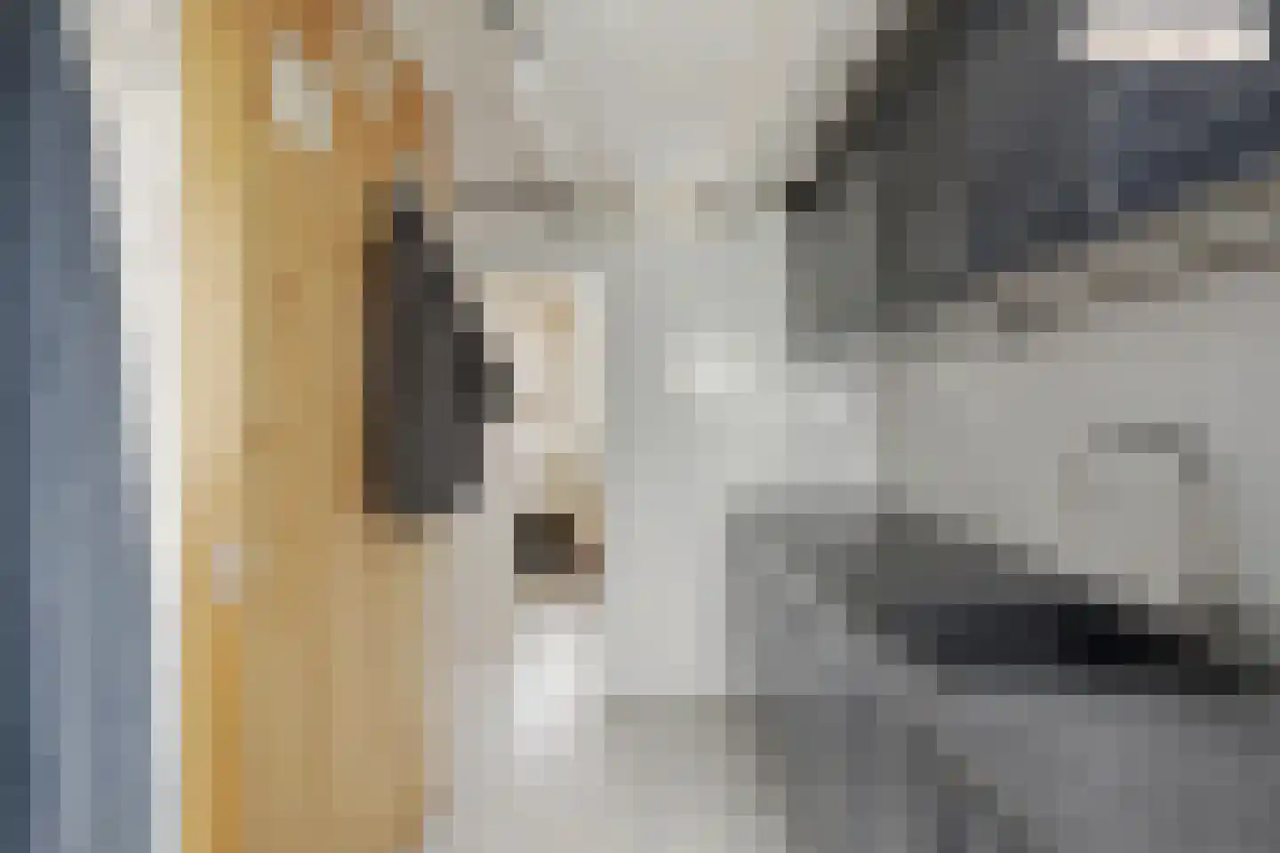 Veenkade 5 Maarssen thumbnail 81