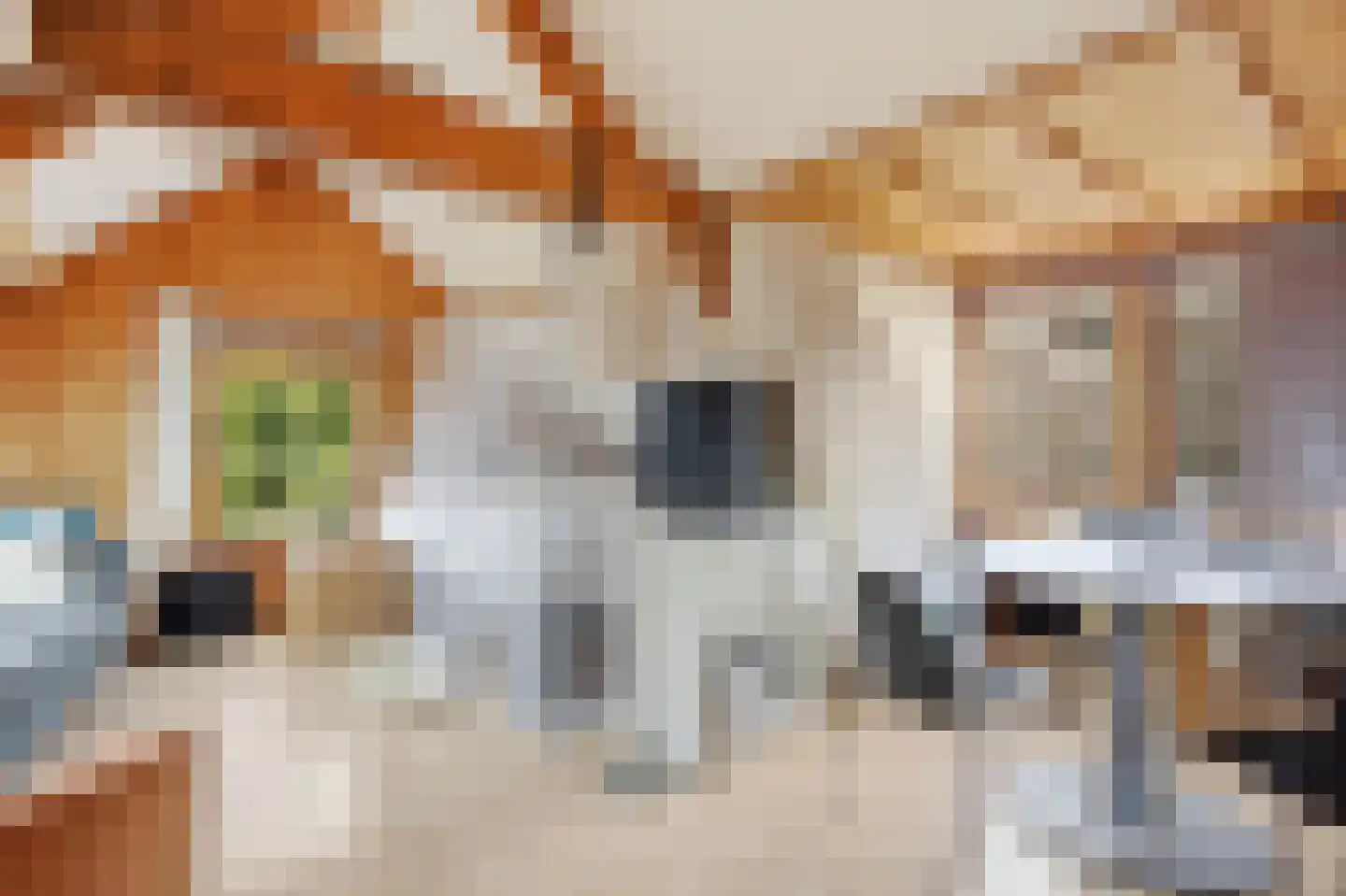 Veenkade 5 Maarssen thumbnail 85