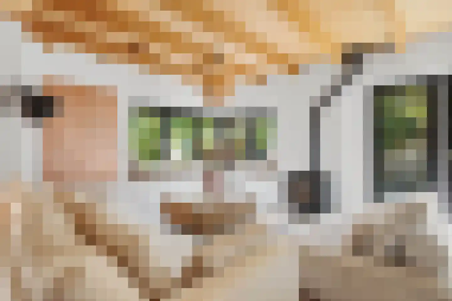 Veenkade 5 Maarssen thumbnail 9