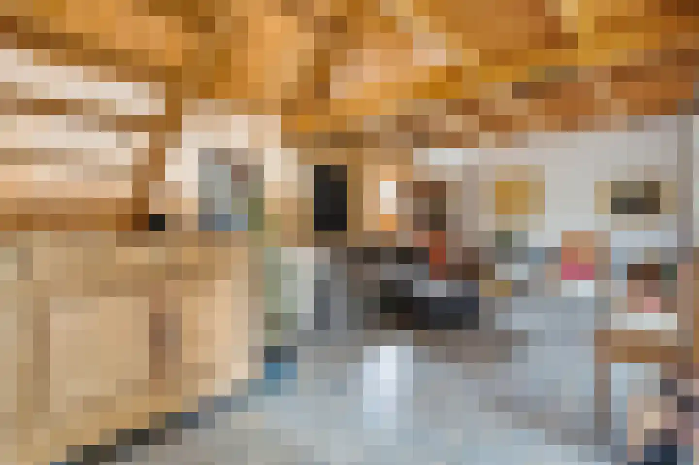 Veenkade 5 Maarssen thumbnail 91
