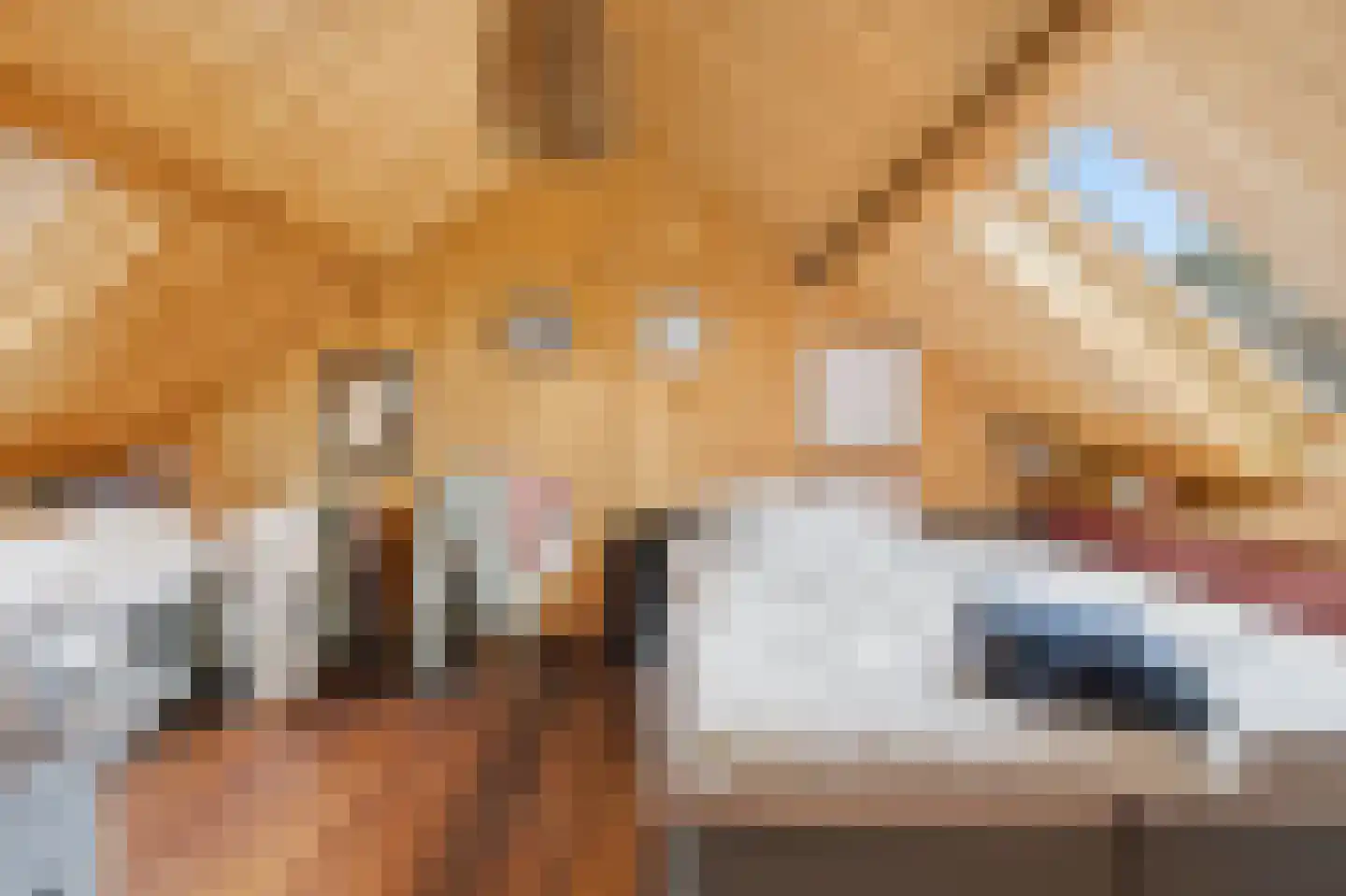 Veenkade 5 Maarssen thumbnail 97
