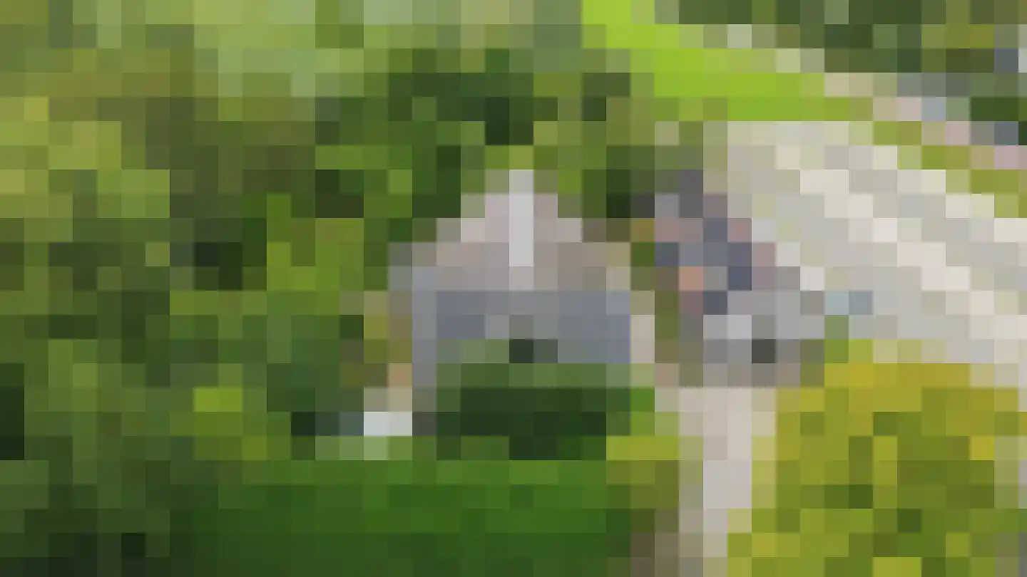 Veenkade 5 Maarssen thumbnail 99