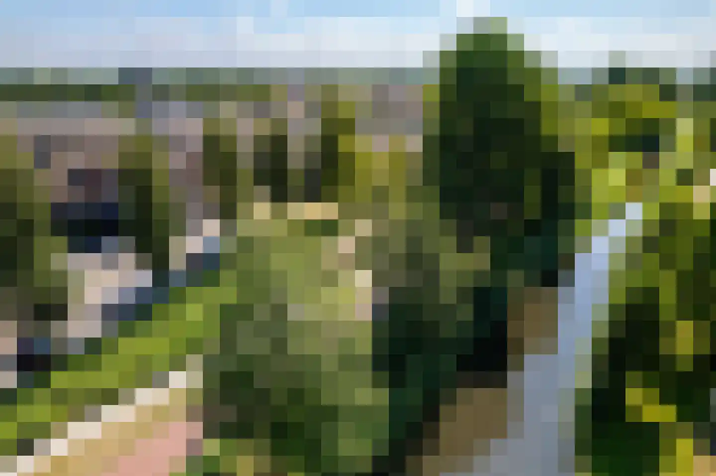 Veenkamp 42 Nootdorp thumbnail 10