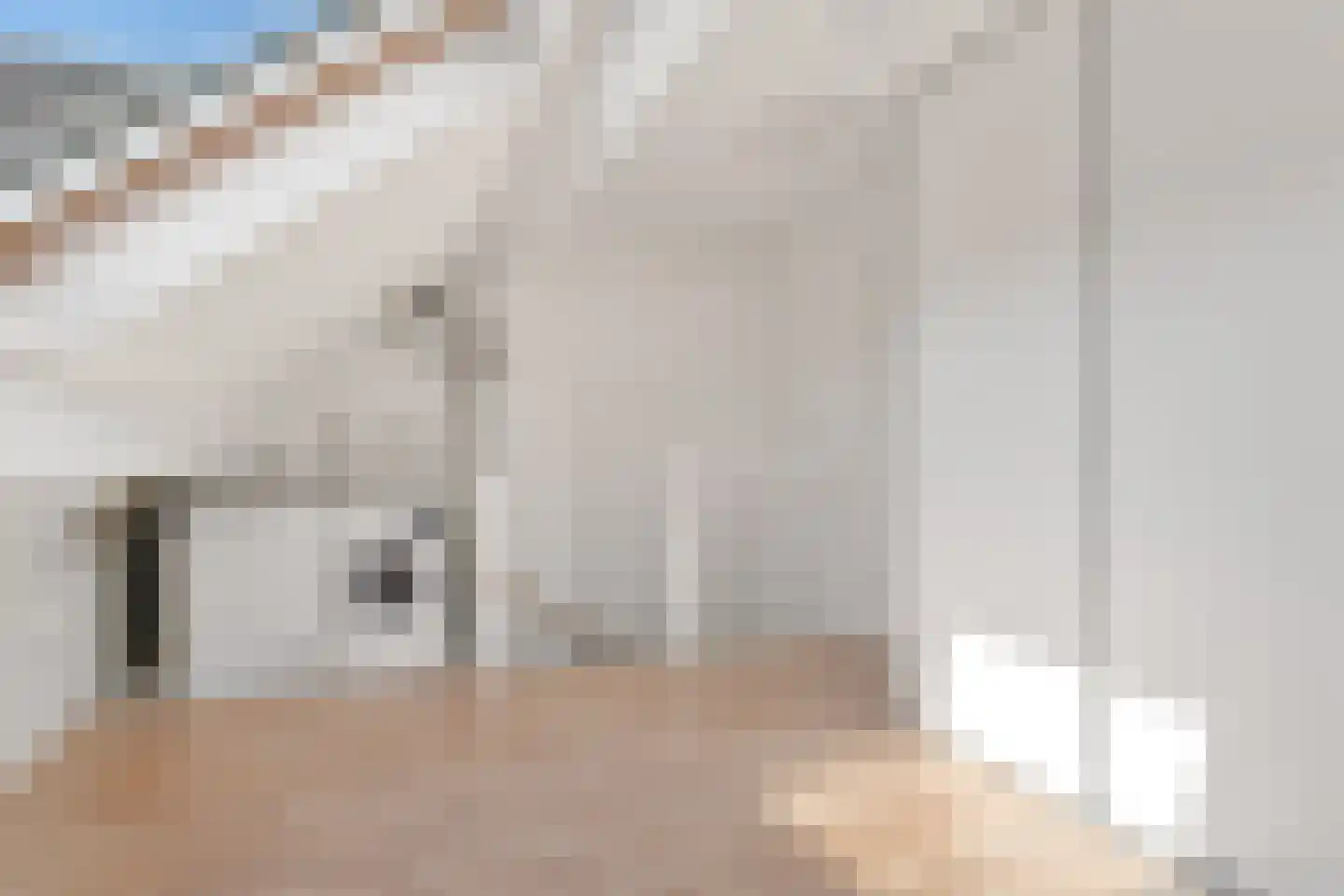 Veenkamp 42 Nootdorp thumbnail 47