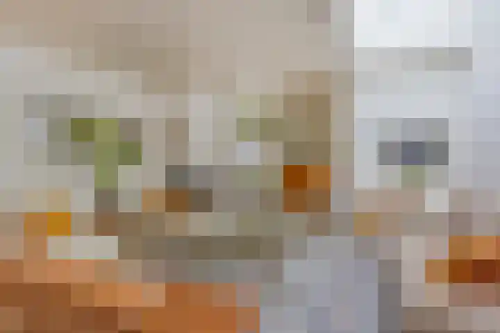 Veenkampenweg 21 Emmen thumbnail 10