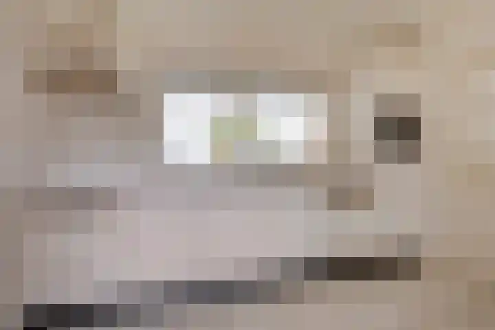 Veenkampenweg 21 Emmen thumbnail 14
