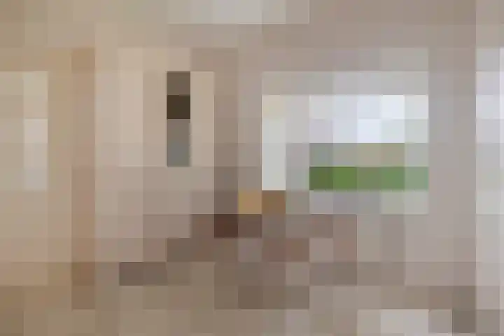 Veenkampenweg 21 Emmen thumbnail 15