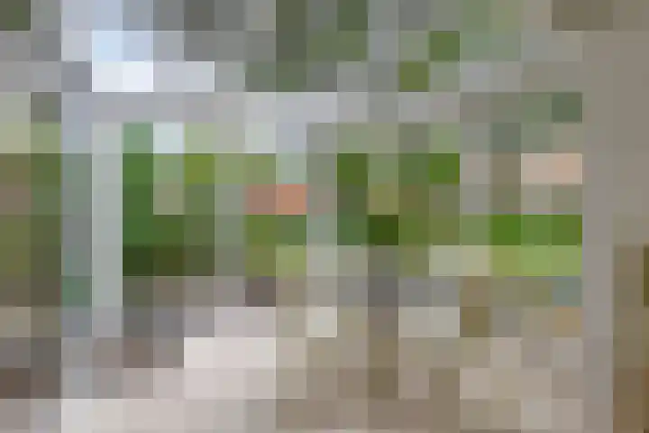 Veenkampenweg 21 Emmen thumbnail 17