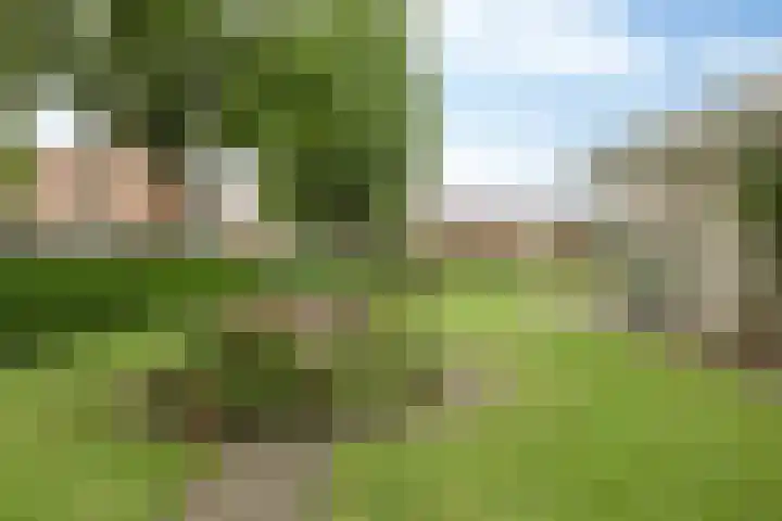 Veenkampenweg 21 Emmen thumbnail 35