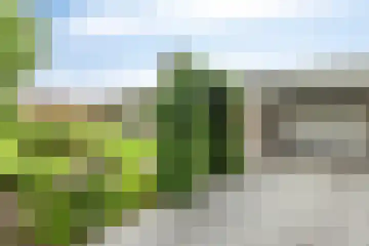 Veenkampenweg 21 Emmen thumbnail 36