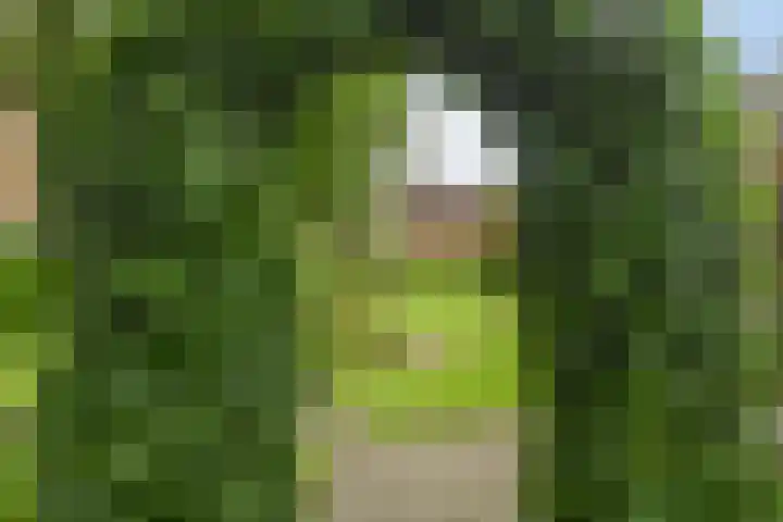 Veenkampenweg 21 Emmen thumbnail 37