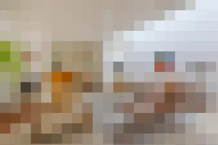 Veenkampenweg 21 Emmen thumbnail 7