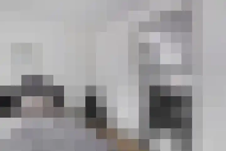 Veenkampenweg 22 Emmen thumbnail 17