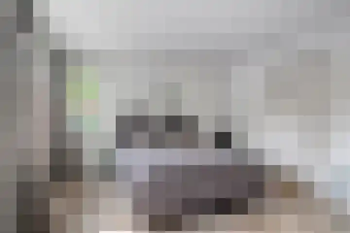 Veenkampenweg 22 Emmen thumbnail 20
