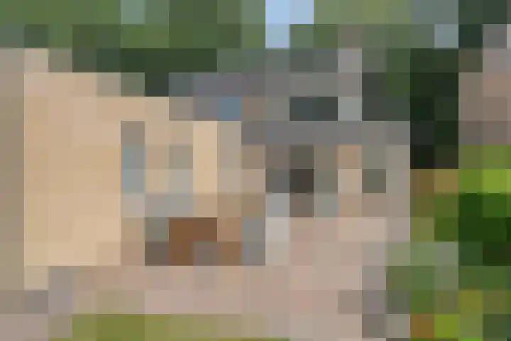 Veenkampenweg 22 Emmen thumbnail 35