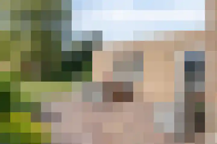 Veenkampenweg 22 Emmen thumbnail 36